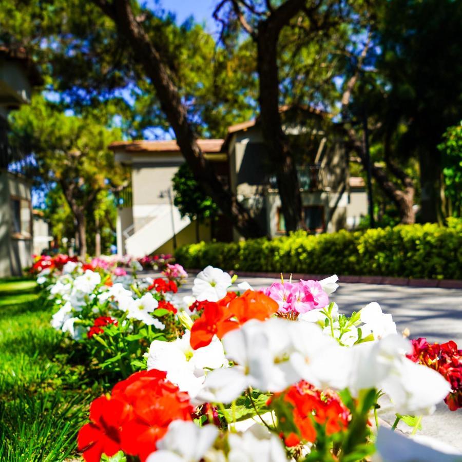 Kimeros Park Holiday Village - Ultra All Inc. Kids Concept Κεμέρ Εξωτερικό φωτογραφία